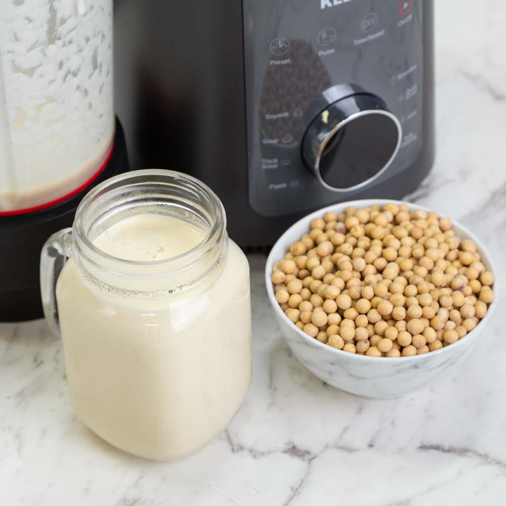 Best Blender For Nuts And Seeds